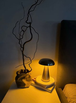Table lamp mushroom
