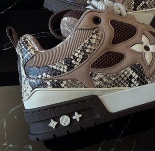 Zapatillas Louis Vuitton Skate Marrón UNISEX