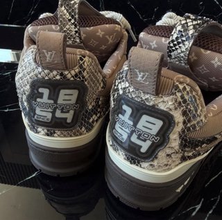 Zapatillas Louis Vuitton Skate Marrón UNISEX