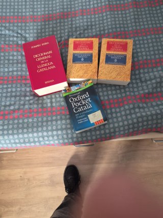 3 Diccionarios. Catalan. Español. Catalan-Ingles.