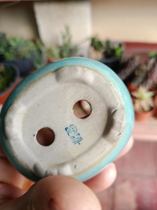 Maceta japonesa cerámica tosui