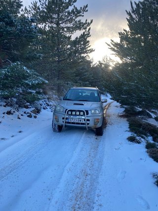 Toyota RAV4 2002