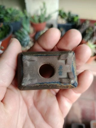 Maceta japonesa tosui marrón y verde