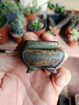 Maceta japonesa tosui marrón y verde