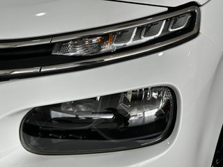 Citroen Berlingo 2020 ¡IMPOLUTA 100%!