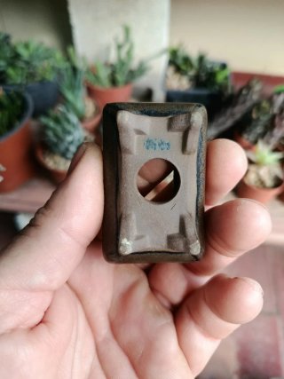 Maceta japonesa Tosui cerámica