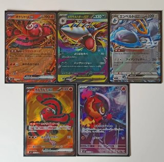 Lote Cartas Pokémon