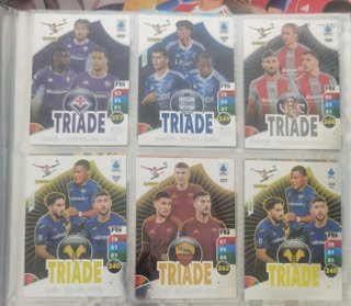 Carte Panini Calciatori  365