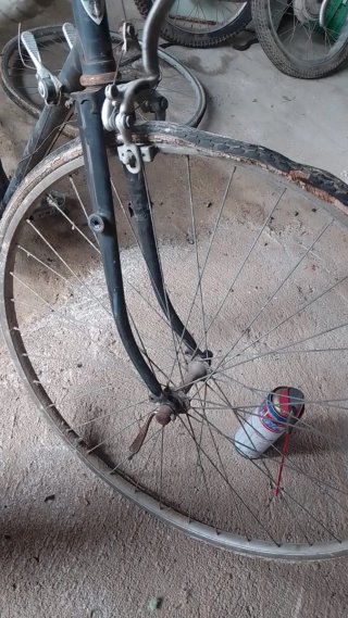 Bicicleta Carlton Inglesa Clásica