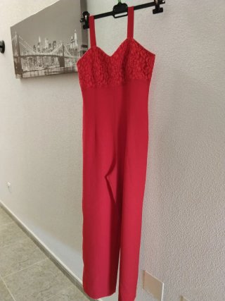 Mono rojo con chaqueta