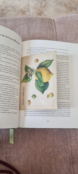 Mujercitas, edición especial