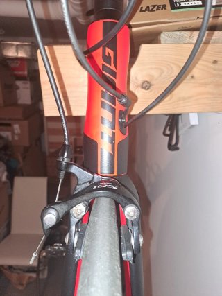 Bicicleta Giant TCR Advanced 2