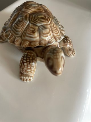 Set 3 Tortugas Cerámica Decorativas Porcelana Wade