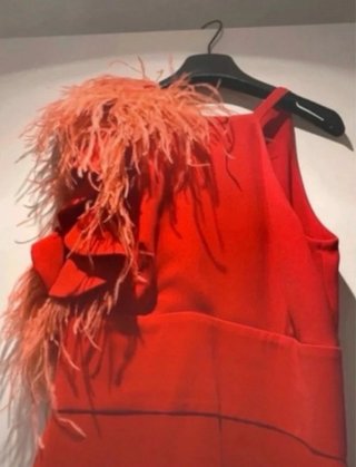 Vestido Alba con plumas
