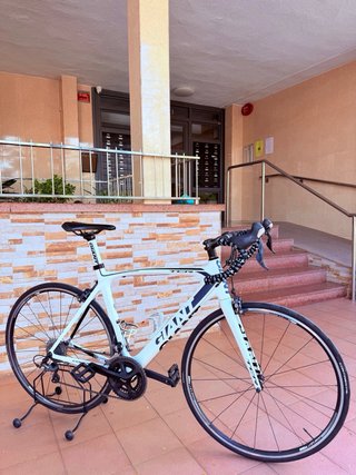 Bicicleta Carretera Giant TCR Carbono