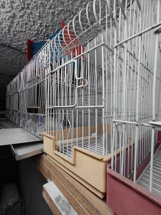 Jaulas para pájaros