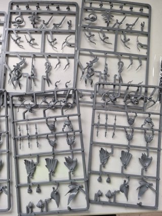 Warhammer Wood Elf Glade Guard
