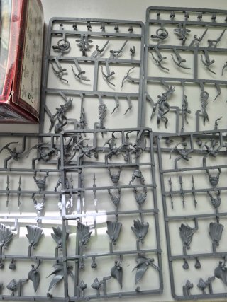 Warhammer Wood Elf Glade Guard