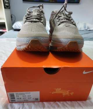 Nike Pegasus Premium Beige/Gris