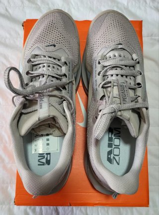 Nike Pegasus Premium Beige/Gris