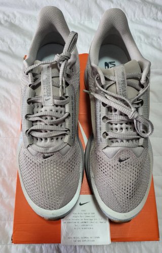 Nike Pegasus Premium Beige/Gris