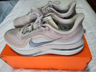 Nike Pegasus Premium Beige/Gris