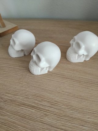 3 teschi in gesso miniatura