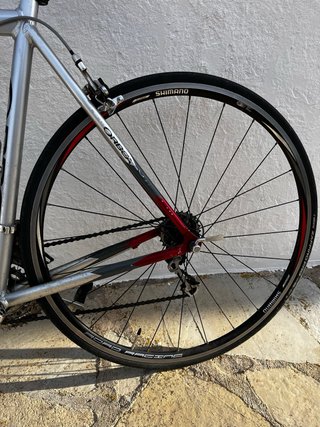 Orbea Asphalt