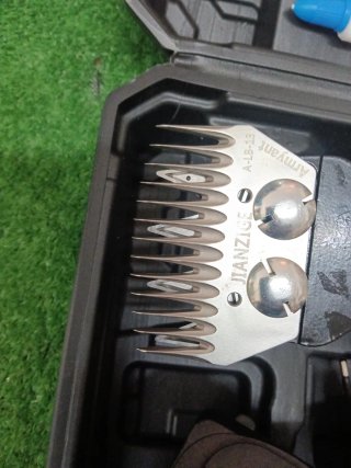 Tosa pecora 168V doppia batteria