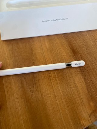 Apple Pencil (USB-C)