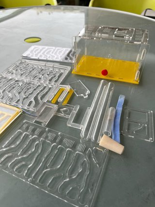 Ormiguero  con bebedero