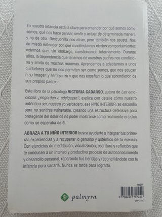 Abraza a tu niño interior: Nunca es tarde para ...