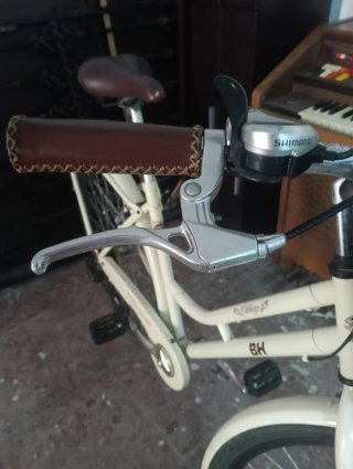 Bicicleta BH Vintage