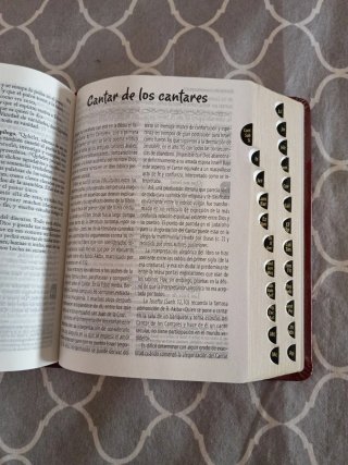 La santa biblia .