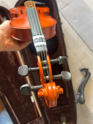 Viola iniciación con estuche de regalo.