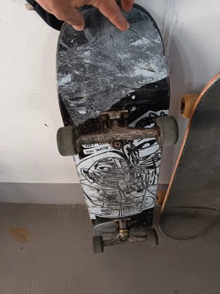 2 Tavole da Skateboard Santa Cruz