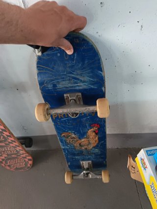 2 Tavole da Skateboard Santa Cruz