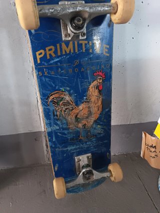 2 Tavole da Skateboard Santa Cruz