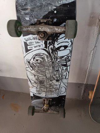 2 Tavole da Skateboard Santa Cruz