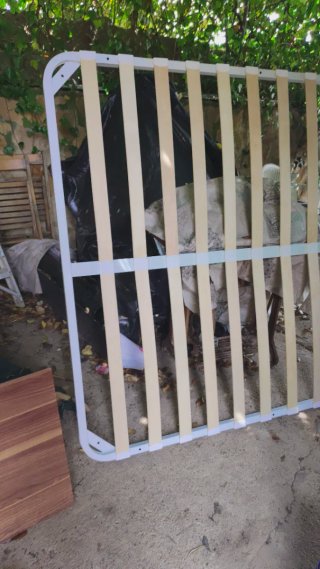 cama.whatapo652978725