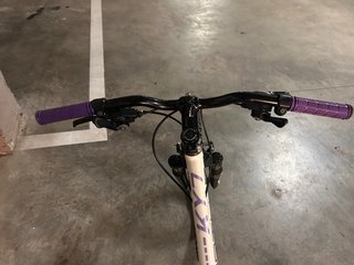 Bicicleta Monty 24 MTB