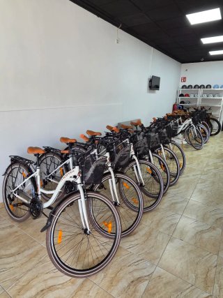 Bicicleta Urbana Moma