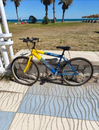 Bicicleta de Montaña