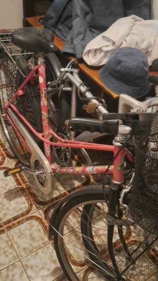 Bicicleta Paseo