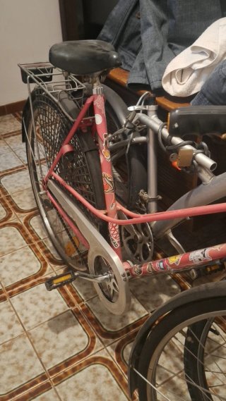 Bicicleta Paseo