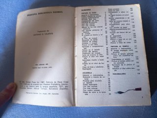 libro antiguo de tecnicas de pintura