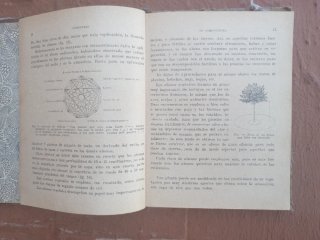 Libro Agricultura 1928 Valerio Serra Boldú