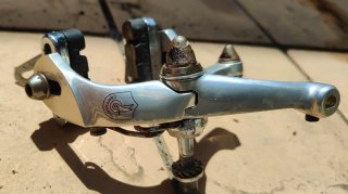 CHOLLO Proyecto Razesa Talla 52 + Grupo Campagnolo