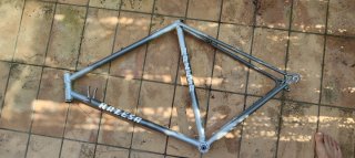 CHOLLO Proyecto Razesa Talla 52 + Grupo Campagnolo