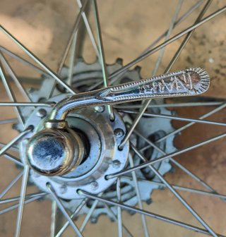 CHOLLO Proyecto Razesa Talla 52 + Grupo Campagnolo